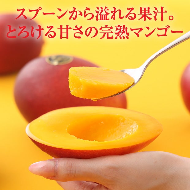北海道産マンゴー（摩周湖の夕日）　2L　1玉