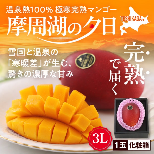 北海道産マンゴー（摩周湖の夕日）　3L　1玉