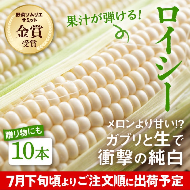 白いとうもろこし　ロイシー