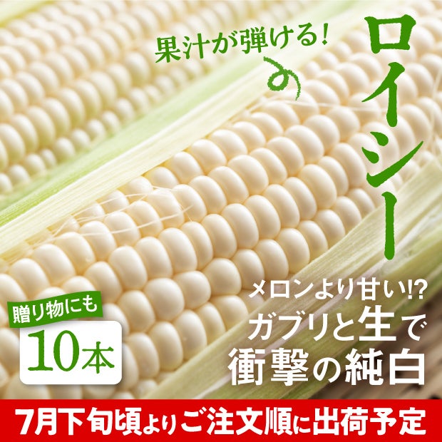 白いとうもろこし　ロイシー