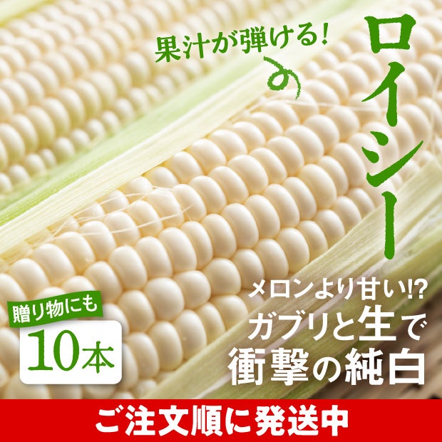白いとうもろこし　ロイシー