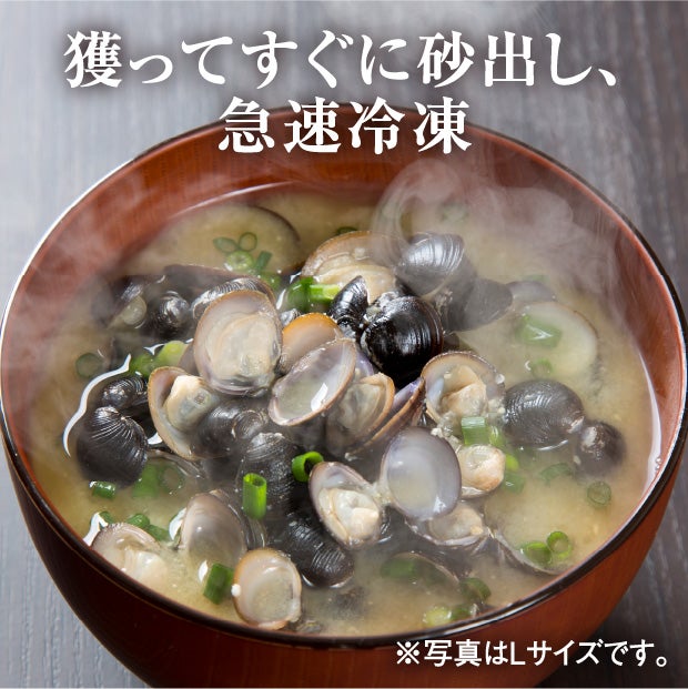 長節湖で取れたシジミ(3Lサイズ)