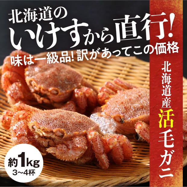 【生冷蔵】北海道産 訳あり活毛ガニ 約1kg(3～4杯)