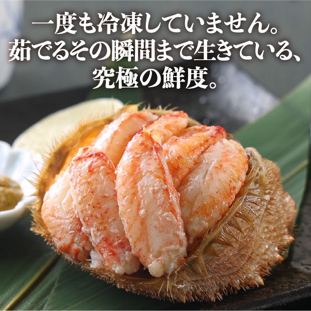 【生冷蔵】北海道産 訳あり活毛ガニ 約1kg(3～4杯)